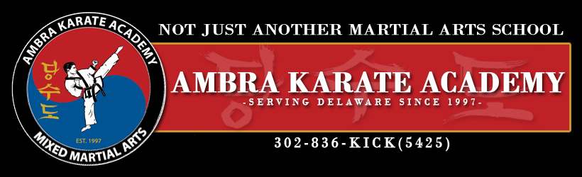 Ambra Karate Academy